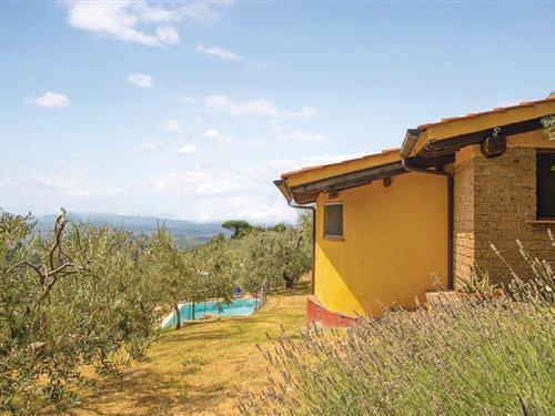 Fritidshus - 3 personer -  - Via di Faltognano - Vinci - 50059 - Vinci Fi