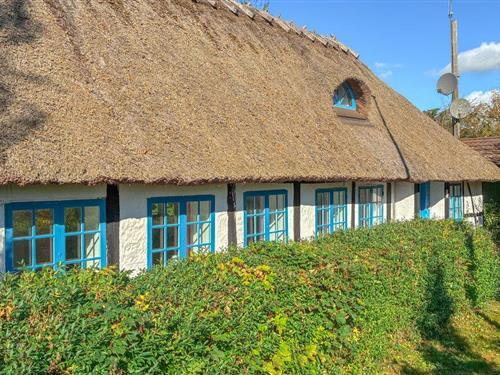 Ferienhaus - 6 Personen -  - Askøvej - Kramnitse - 4920 - Søllested