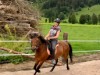 Billede 9