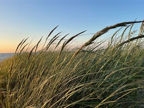 Ferielejlighed - 4 personer -  - Richard-Wossidlo-Str. - 18181 - Seeheilbad Graal-Müritz