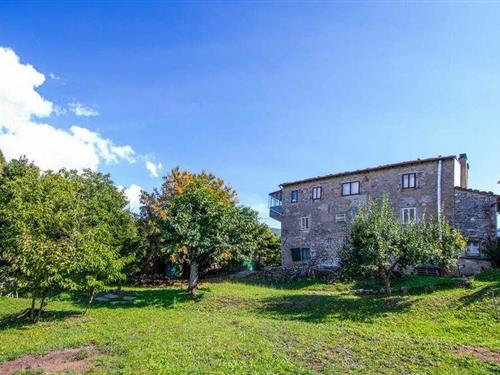 Semesterhus/Semesterlägenhet - 7 personer -  - Via Condotto - 55022 - Montefegatesi