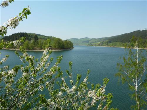 Holiday Home/Apartment - 4 persons -  - Ahlener Weg - 34519 - Diemelsee-Heringhausen