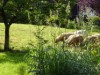Bild 8