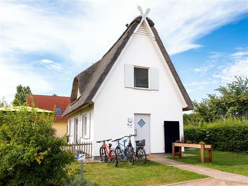 Sommerhus - 4 personer -  - Alt Jassewitz - 23968