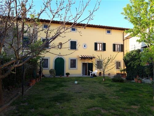 Ferielejlighed - 4 personer -  - Lamporecchio - 51035