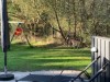Billede 42 - Grund