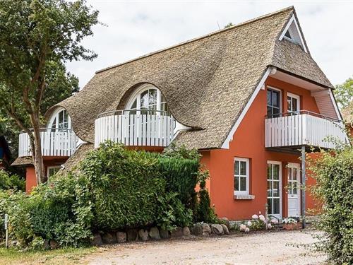 Ferielejlighed - 2 personer -  - Seestraße - 18375 - Born