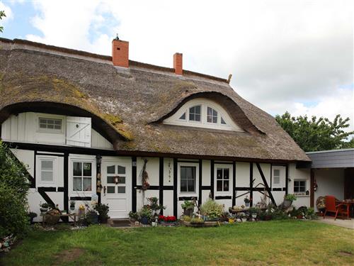 Sommerhus - 4 personer -  - Garten, Fachwerk, Reetgedeckt - 18317 - Saal / Neuendorf Heide