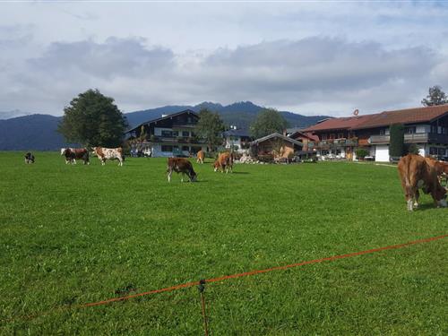 Ferienhaus - 4 Personen -  - Moosweg - 83471 - Schönau Am Königssee