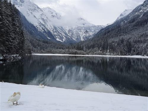 Ferieleilighet - 5 personer -  - Jägerseestrasse 12 a - 5603 - Kleinarl