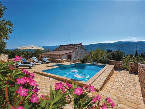 Feriehus - 4 personer -  - Matije Ivanica - Hvar-Stari Grad - 21460 - Stari Grad