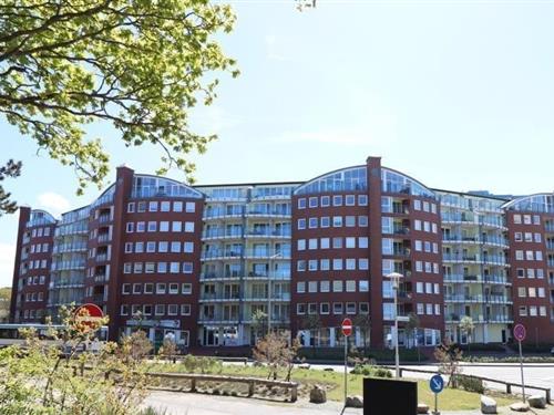 Ferienwohnung - 2 Personen -  - Hans-Clauße-Straße - 27476 - Cuxhaven