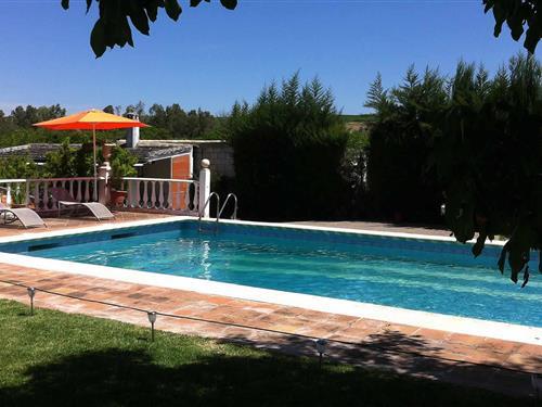 Holiday Home/Apartment - 8 persons -  - 14700 - Palma Del Río