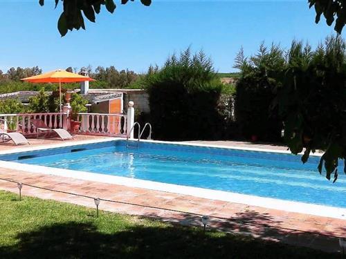 Sommerhus - 8 personer -  - 14700 - Palma Del Río