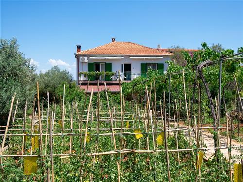 Ferielejlighed - 7 personer -  - Kraj 153, Kraj - 23212 - Tkon