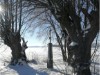 Bild 28