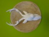 Bild 29