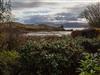 Image 38 - Outside