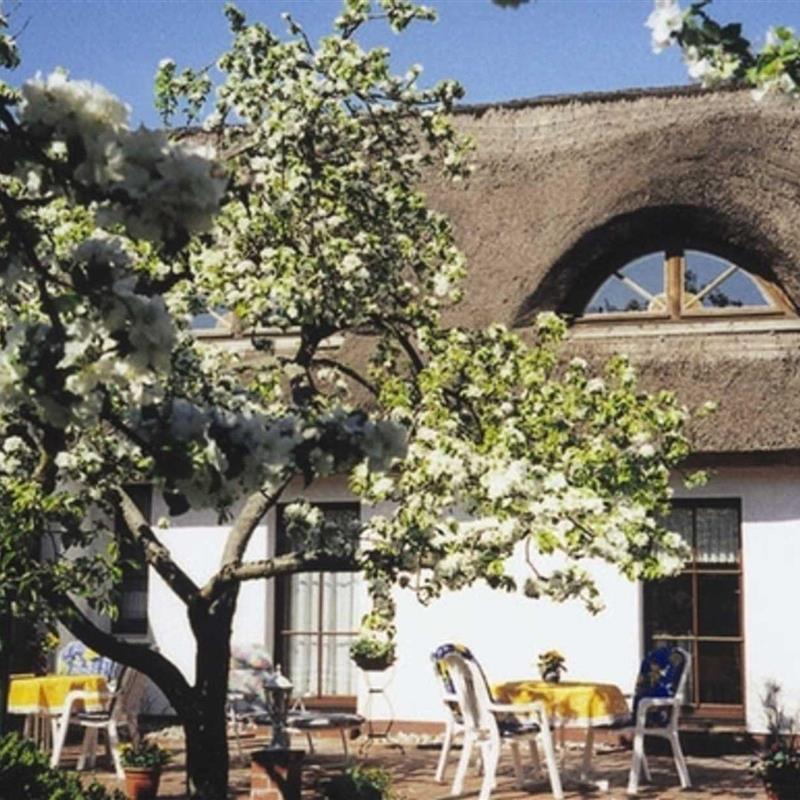 Ferielejlighed - 2 personer -  - An den Rehwiesen - 17449 - Karlshagen