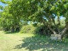 Image 27 - Outside