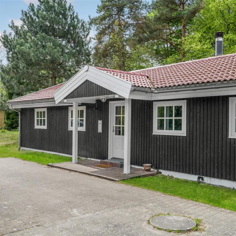 Sommerhus - 12 personer -  - Femleddet - Hønsinge Lyng - 4560 - Vig
