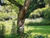 Image 23