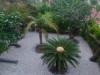 Bild 14
