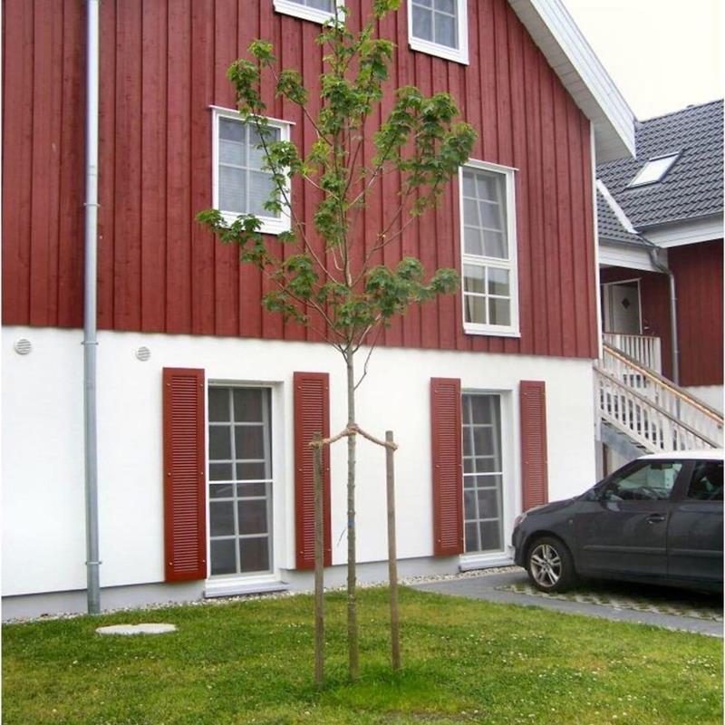 Sommerhus - 4 personer -  - 26736 - Krummhörn-Greetsiel