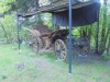 Billede 21