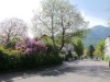Bild 45