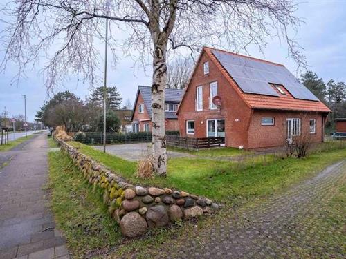 Holiday apartment - 4 persons -  - 25826 - Sankt Peter-Ording