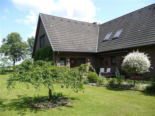 Ferienwohnung - 4 Personen -  - Timmerloher Weg - 29640 - Schneverdingen