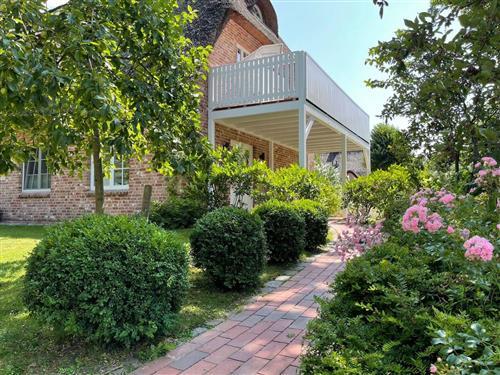 Holiday apartment - 6 persons -  - Dorfstraße - 25826 - Sankt Peter-Ording