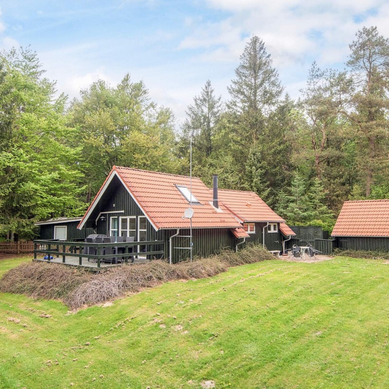 Ferienhaus - 5 Personen -  - Tyttebærvej - Guldforhoved - 7441 - Bording