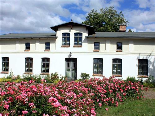 Bauernhof - 4 persons -  - Kreuzkamp - 18059 - Papendorf