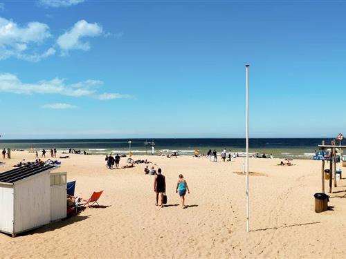 Holiday apartment - 4 persons -  - Zeedijk 155 - - 8400 - Oostende