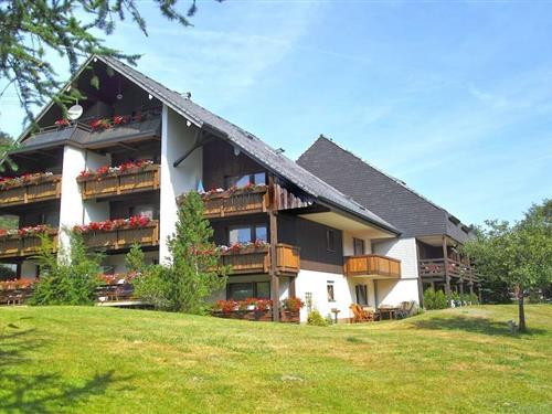 Feriehus - 5 personer -  - 79837 - St. Blasien-Menzenschwand