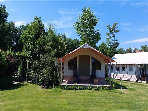 Glampingtält - 4 personer -  - 9286EV - Twijzel