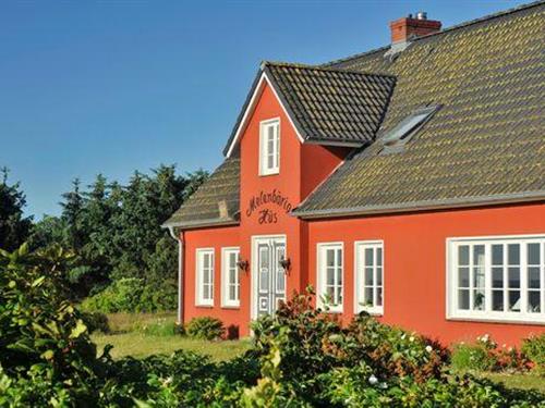 Ferienhaus - 4 Personen -  - Munkhoog - 25980 - Sylt / Ot Munkmarsch