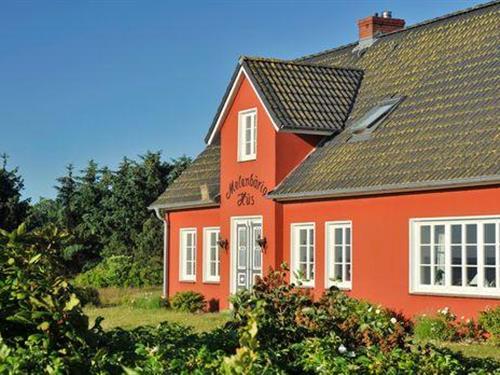 Sommerhus - 4 personer -  - Munkhoog - 25980 - Sylt / Ot Munkmarsch