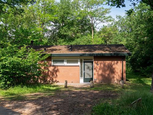 Bungalow - 6 persons -  - 3881SE - Putten