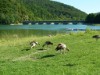 Bild 25 - Ude