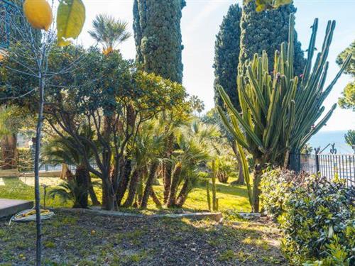 Holiday Home/Apartment - 6 persons -  - 18012 - Bordighera