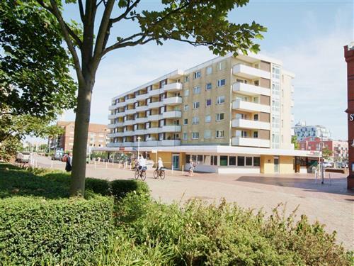 Ferielejlighed - 3 personer -  - Stephanstrasse - 25980 - Westerland Auf Sylt