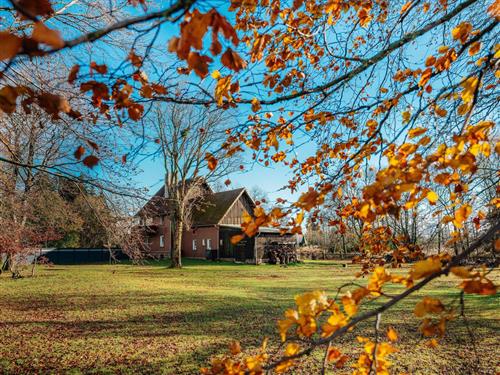 Ferielejlighed - 4 personer -  - Königskrug - 38700 - Braunlage