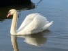 Bild 21