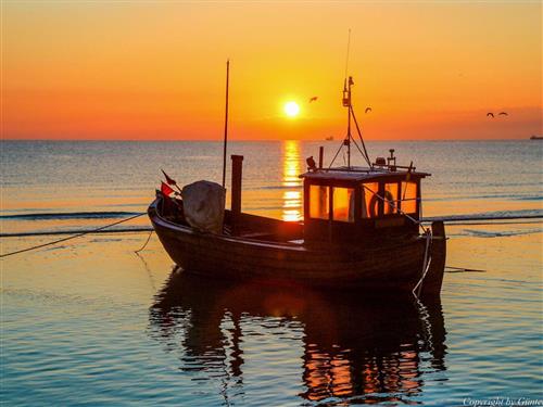 Ferielejlighed - 2 personer -  - Bismarckstraße - 17419 - Ahlbeck (Seebad)