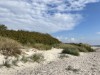 Image 8 - Region