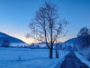 Bild 56