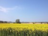 Bild 17